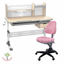 комплект anatomica genius парта + кресло + надстройка + выдвижной ящик + подставка для книг Anatomica Genius set